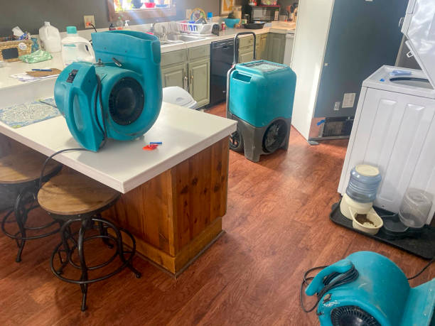Best Water damage restoration near me  in Seven Lakes, NC