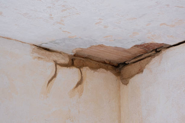 Best 24-hour water damage restoration  in Seven Lakes, NC