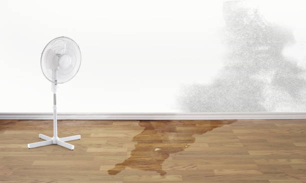 Best Carpet water damage restoration  in Seven Lakes, NC