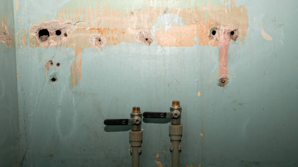 Best Emergency water damage restoration  in Seven Lakes, NC