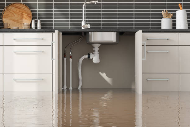 Best Flood restoration services  in Seven Lakes, NC