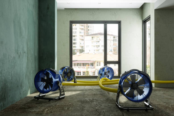 Best Mold removal after water damage  in Seven Lakes, NC