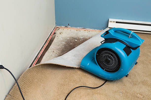 Best Residential water damage restoration  in Seven Lakes, NC
